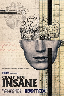 دانلود فیلم Crazy Not Insane 2020