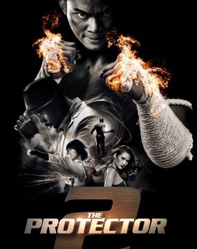 دانلود فیلم The Protector 2 2013