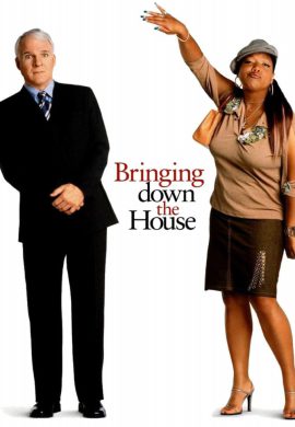 دانلود فیلم Bringing Down the House 2003