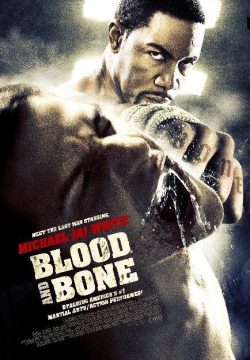 دانلود فیلم Blood and Bone 2009