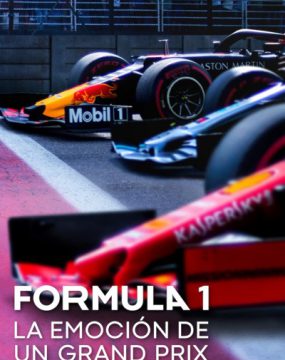 دانلود سریال Formula 1: Drive to Survive