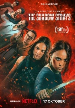 دانلود فیلم The Shadow Strays 2024